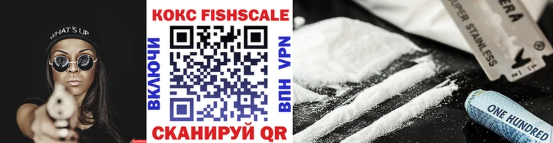 COCAIN Fish Scale  продажа наркотиков  Кемерово 