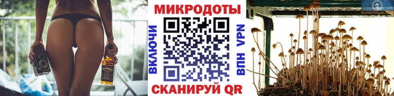 Галлюциногенные грибы мицелий  Кемерово 